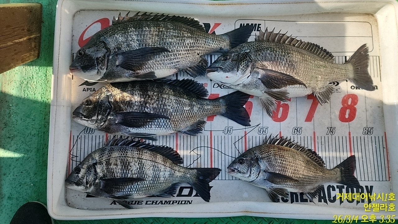 ����ڰ� �ø� �̹���