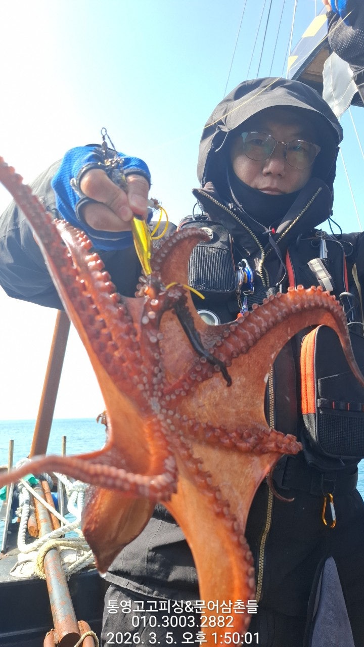 ����ڰ� �ø� �̹���