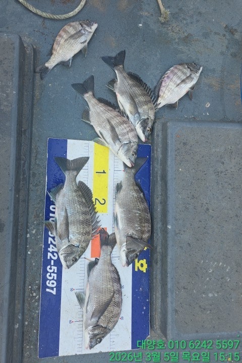 ����ڰ� �ø� �̹���