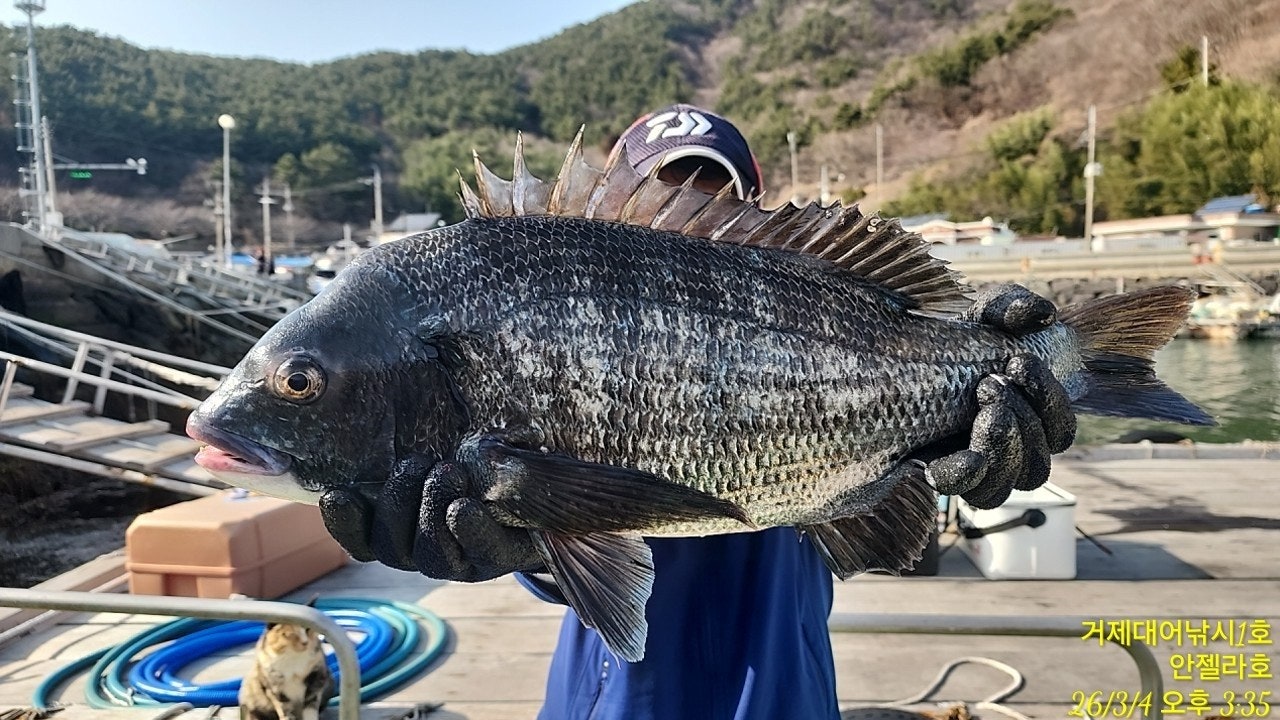 ����ڰ� �ø� �̹���