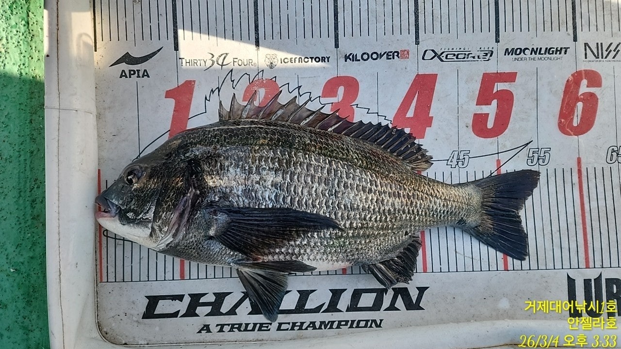 ����ڰ� �ø� �̹���