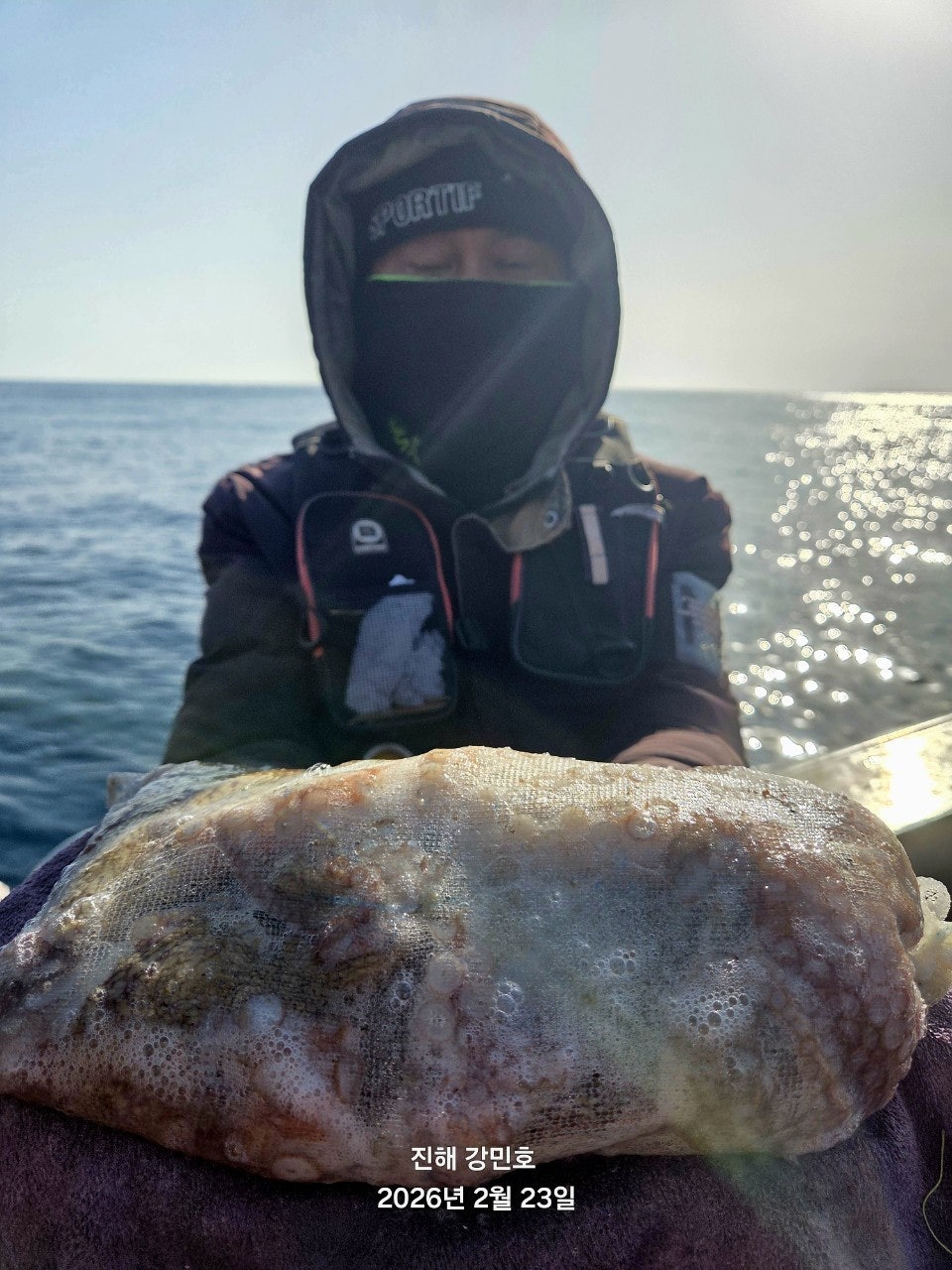 ����ڰ� �ø� �̹���