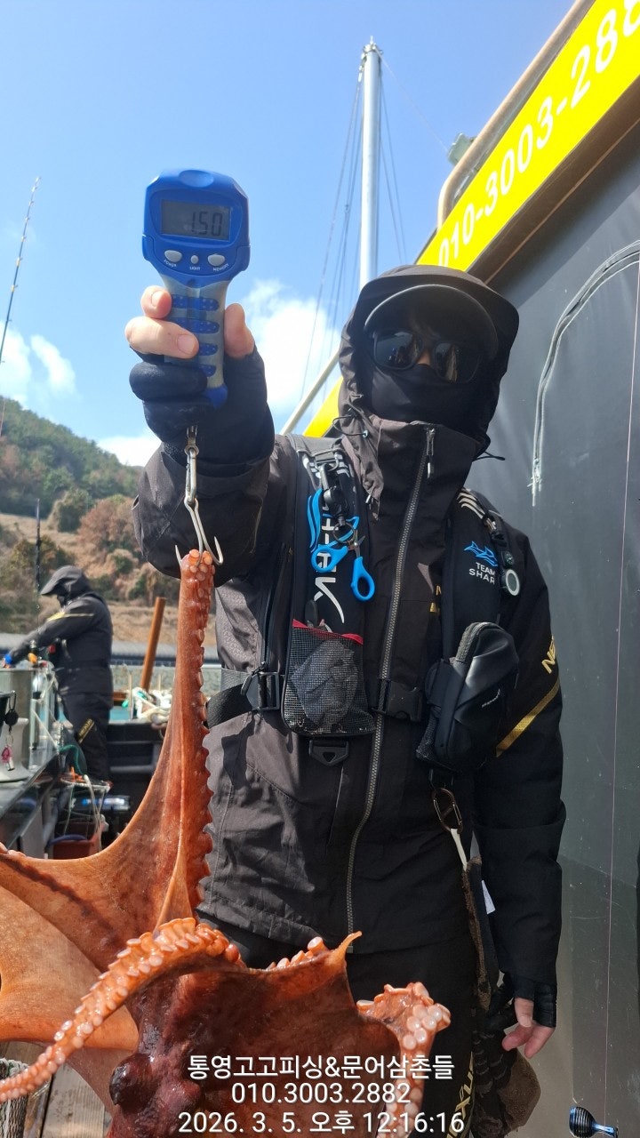 ����ڰ� �ø� �̹���