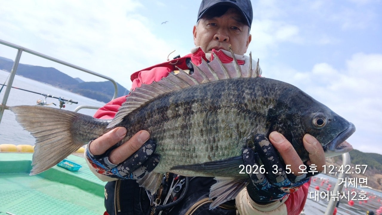 ����ڰ� �ø� �̹���