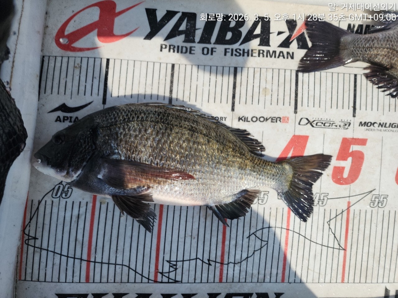 ����ڰ� �ø� �̹���