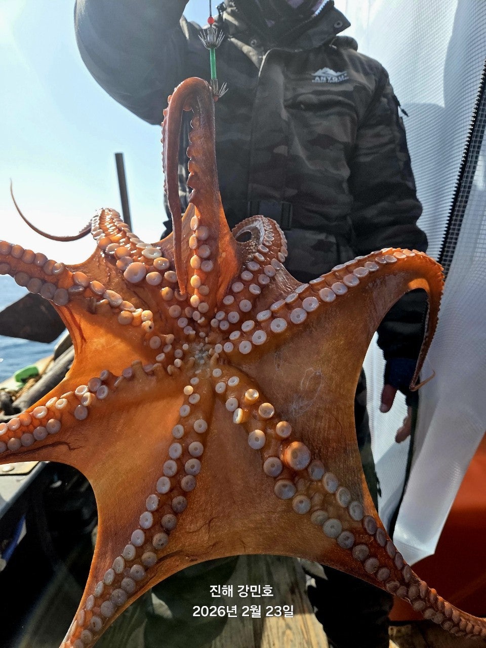 ����ڰ� �ø� �̹���