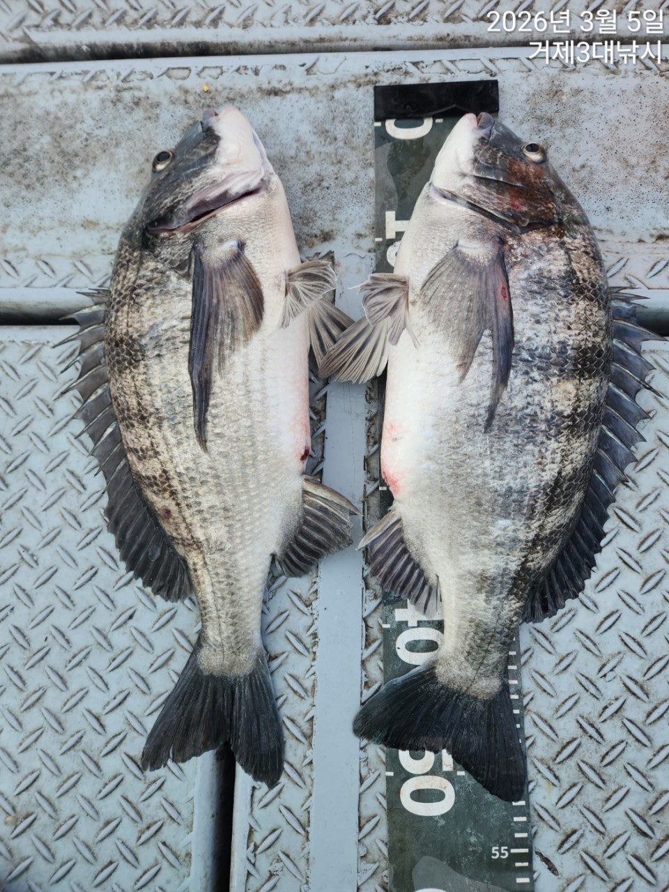 ����ڰ� �ø� �̹���