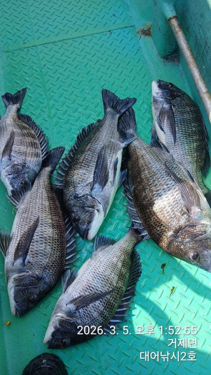 ����ڰ� �ø� �̹���