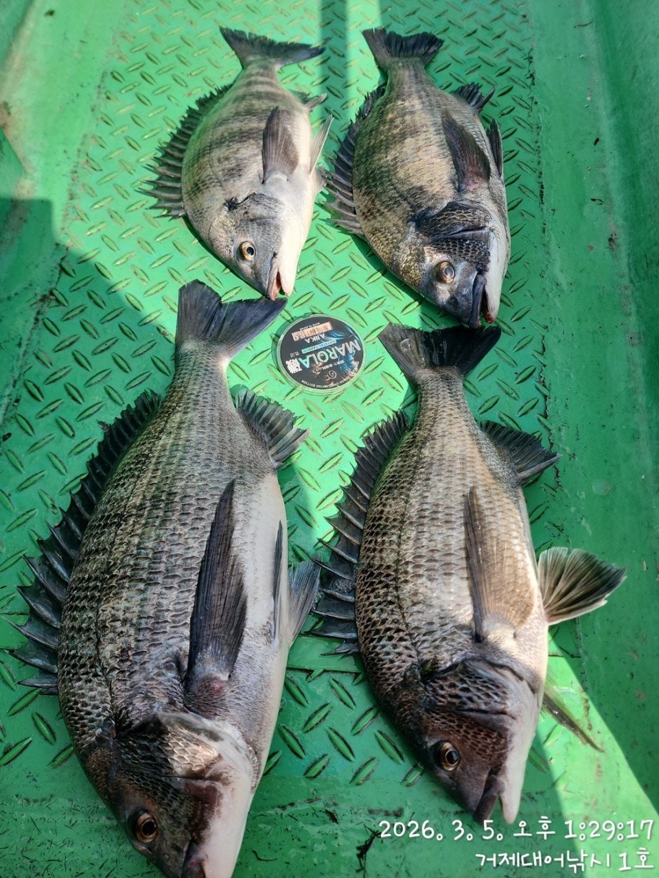 ����ڰ� �ø� �̹���