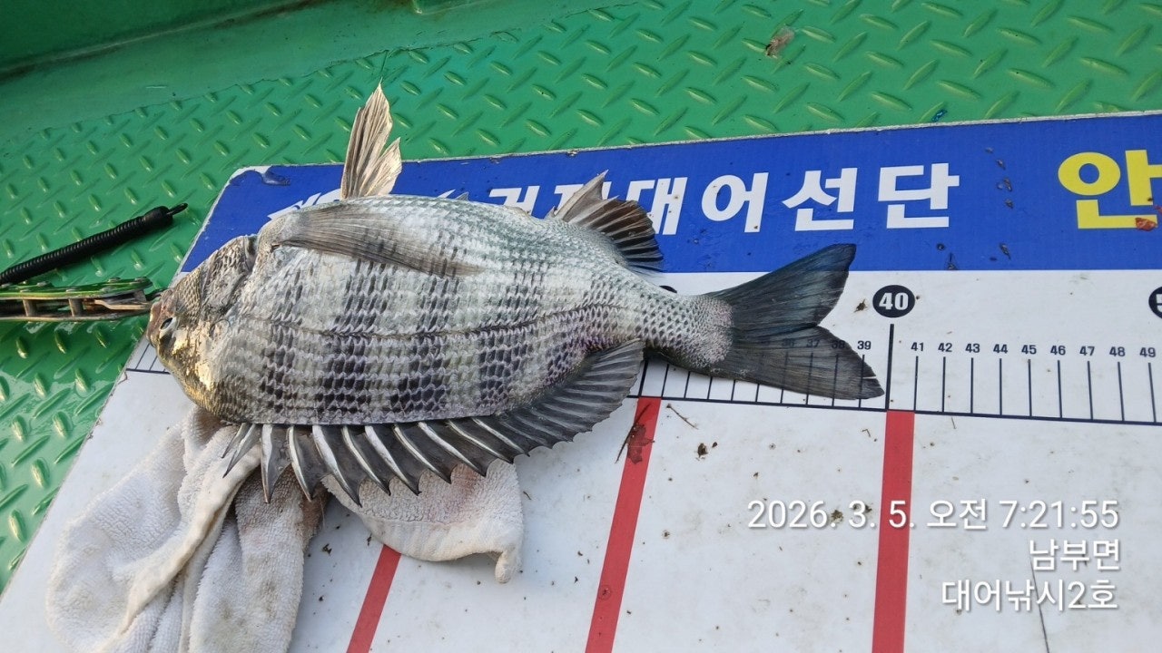 ����ڰ� �ø� �̹���