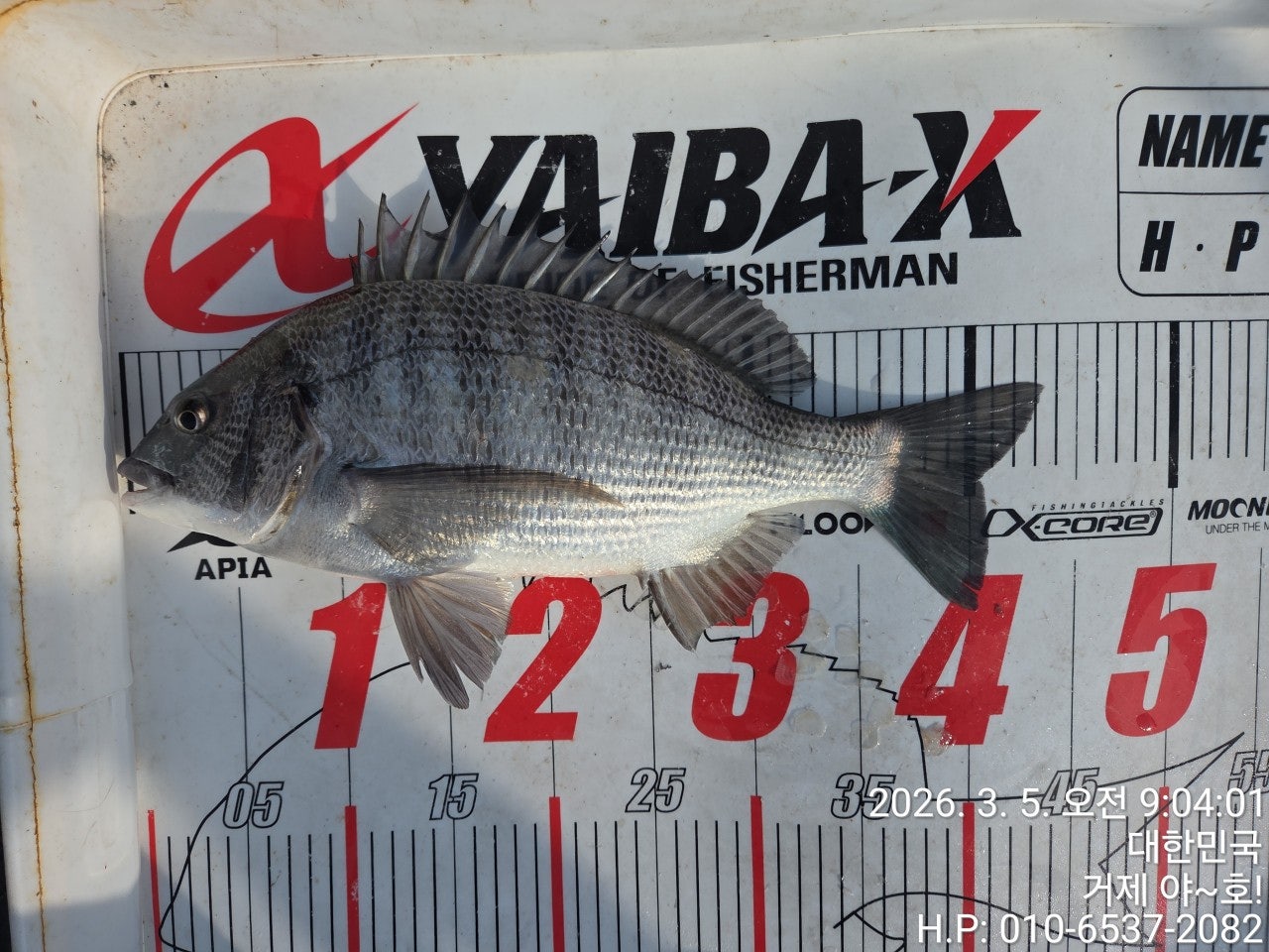 ����ڰ� �ø� �̹���