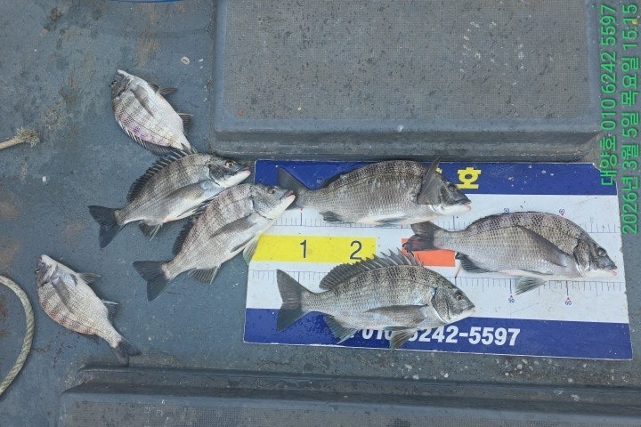 ����ڰ� �ø� �̹���