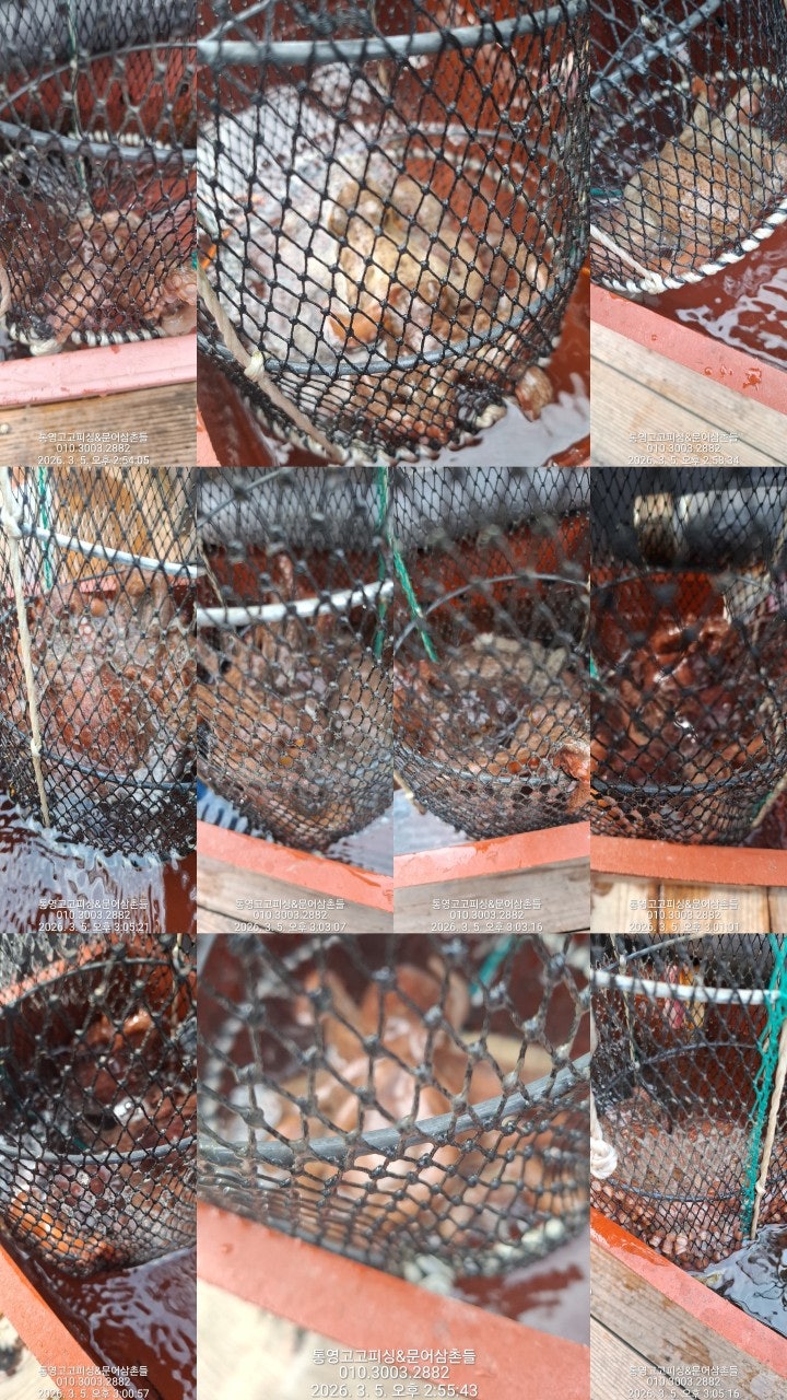 ����ڰ� �ø� �̹���