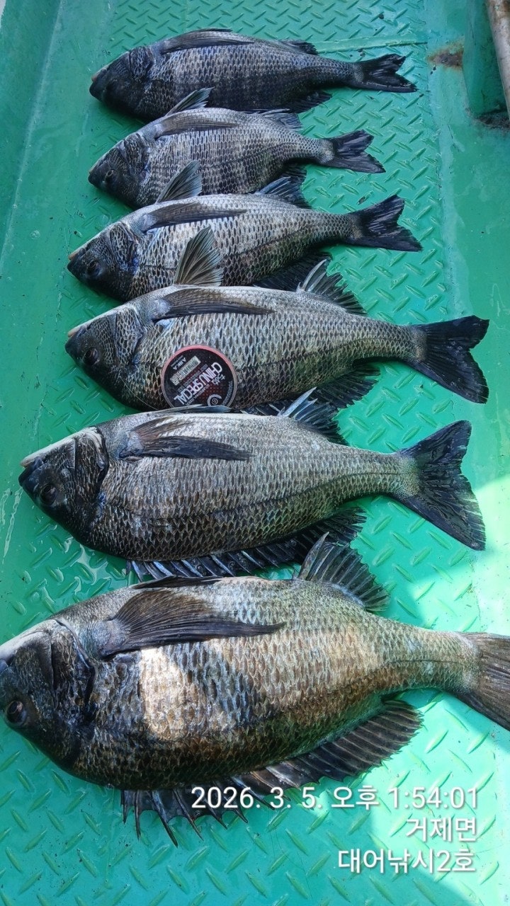 ����ڰ� �ø� �̹���