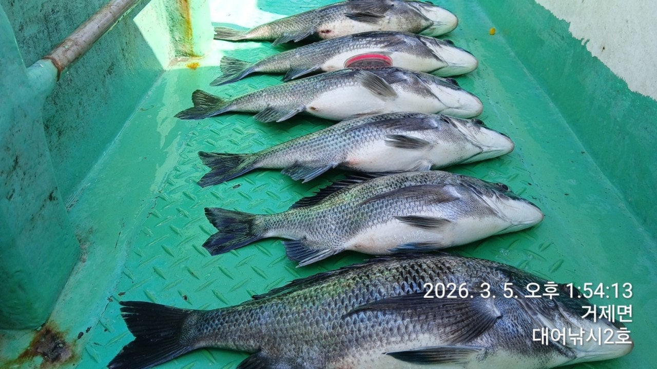 ����ڰ� �ø� �̹���