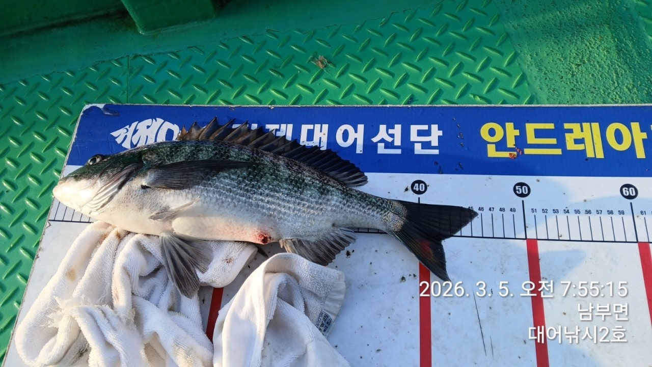 ����ڰ� �ø� �̹���