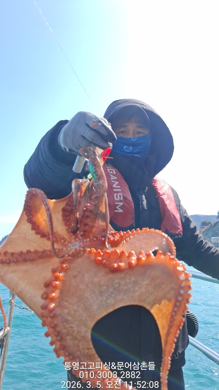 ����ڰ� �ø� �̹���