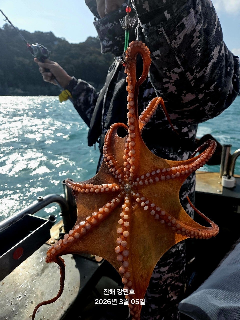 ����ڰ� �ø� �̹���