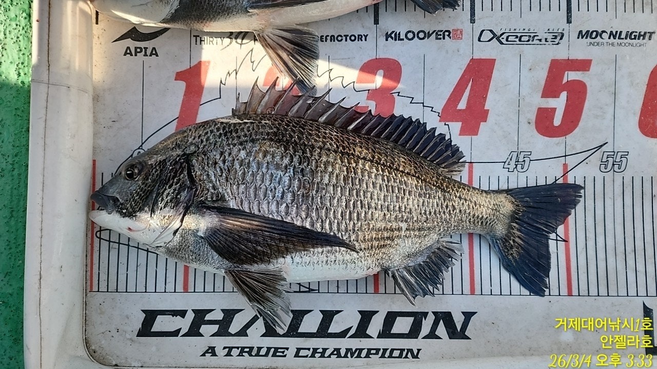 ����ڰ� �ø� �̹���