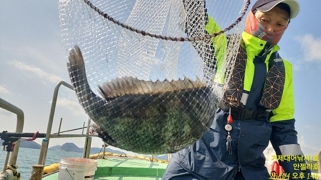 ����ڰ� �ø� �̹���