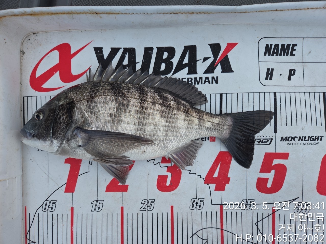 ����ڰ� �ø� �̹���