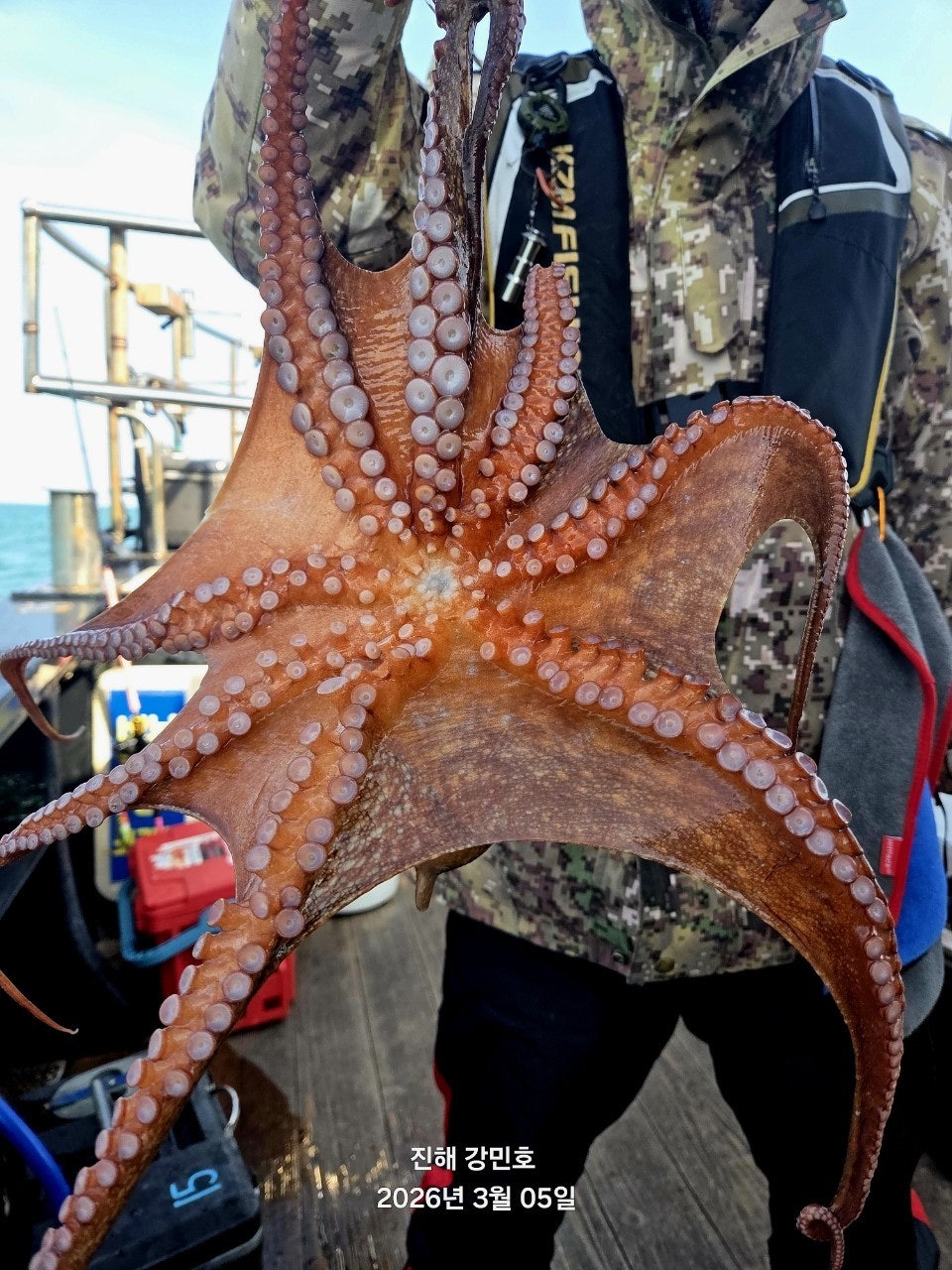 ����ڰ� �ø� �̹���