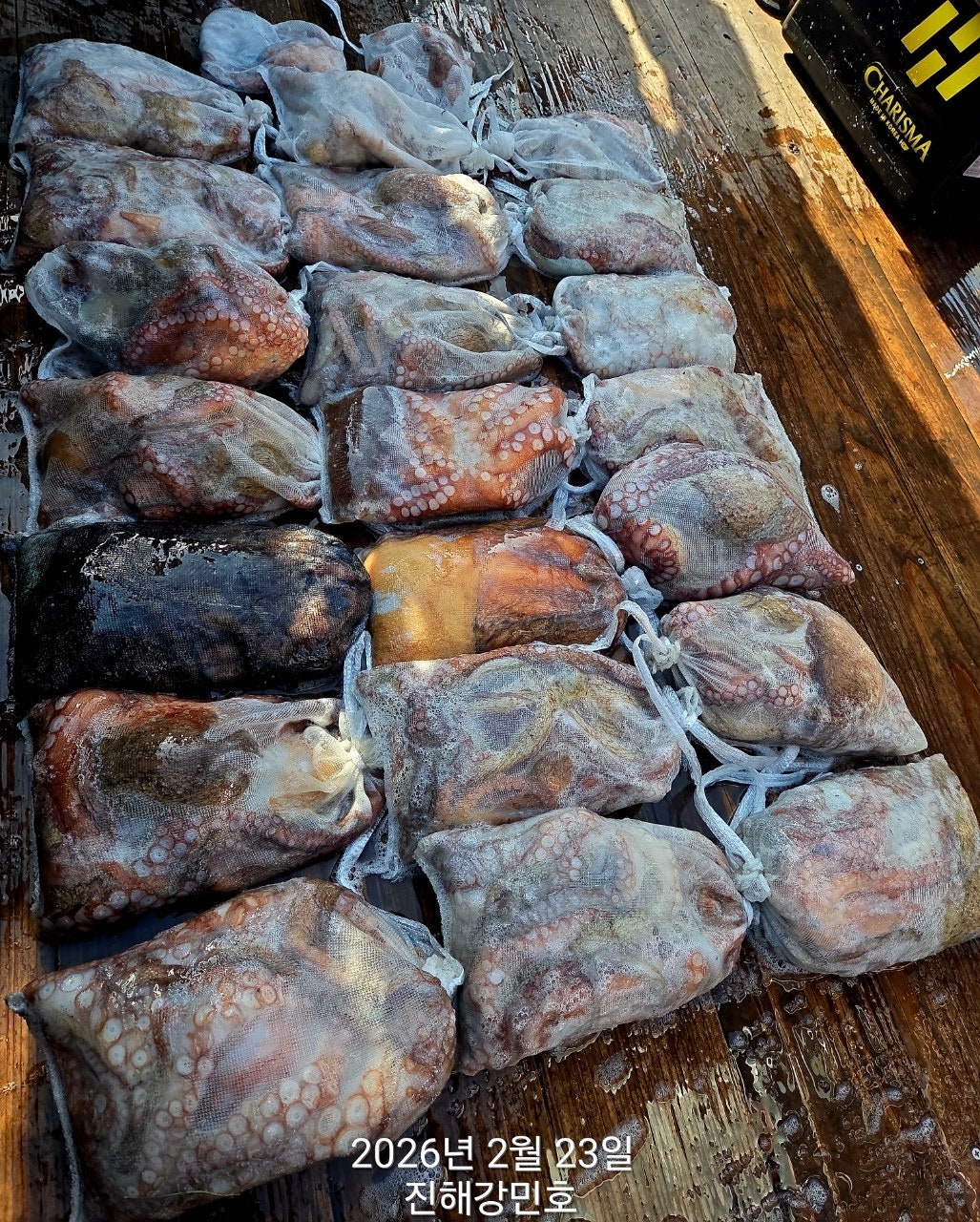 ����ڰ� �ø� �̹���