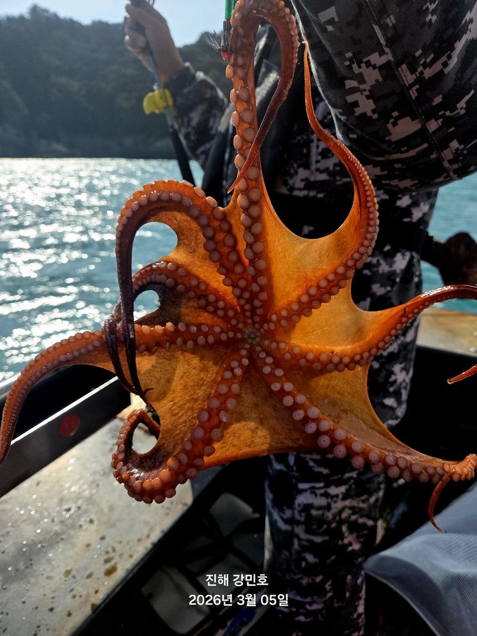 ����ڰ� �ø� �̹���