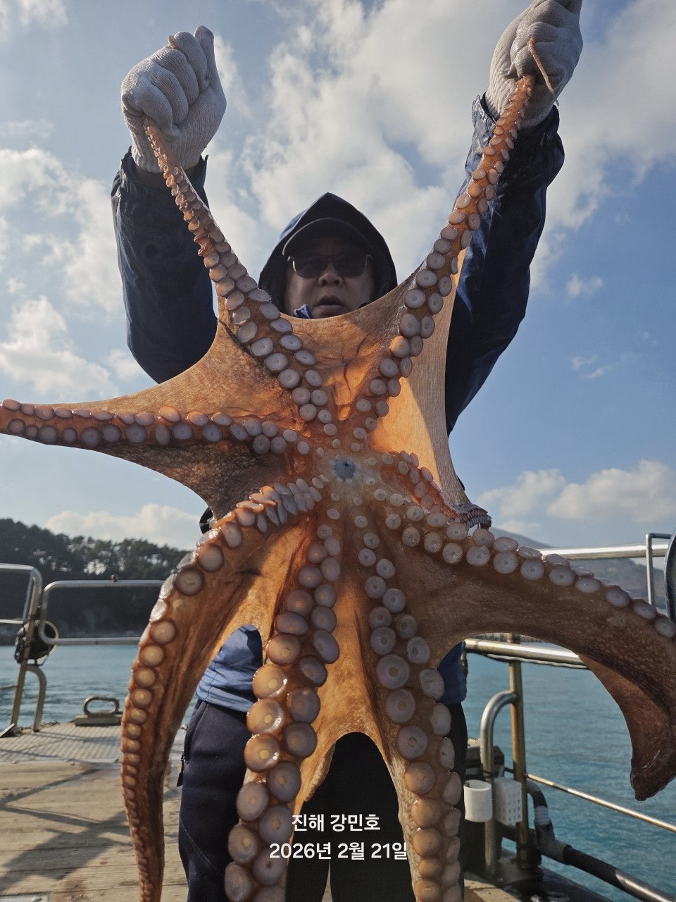 ����ڰ� �ø� �̹���