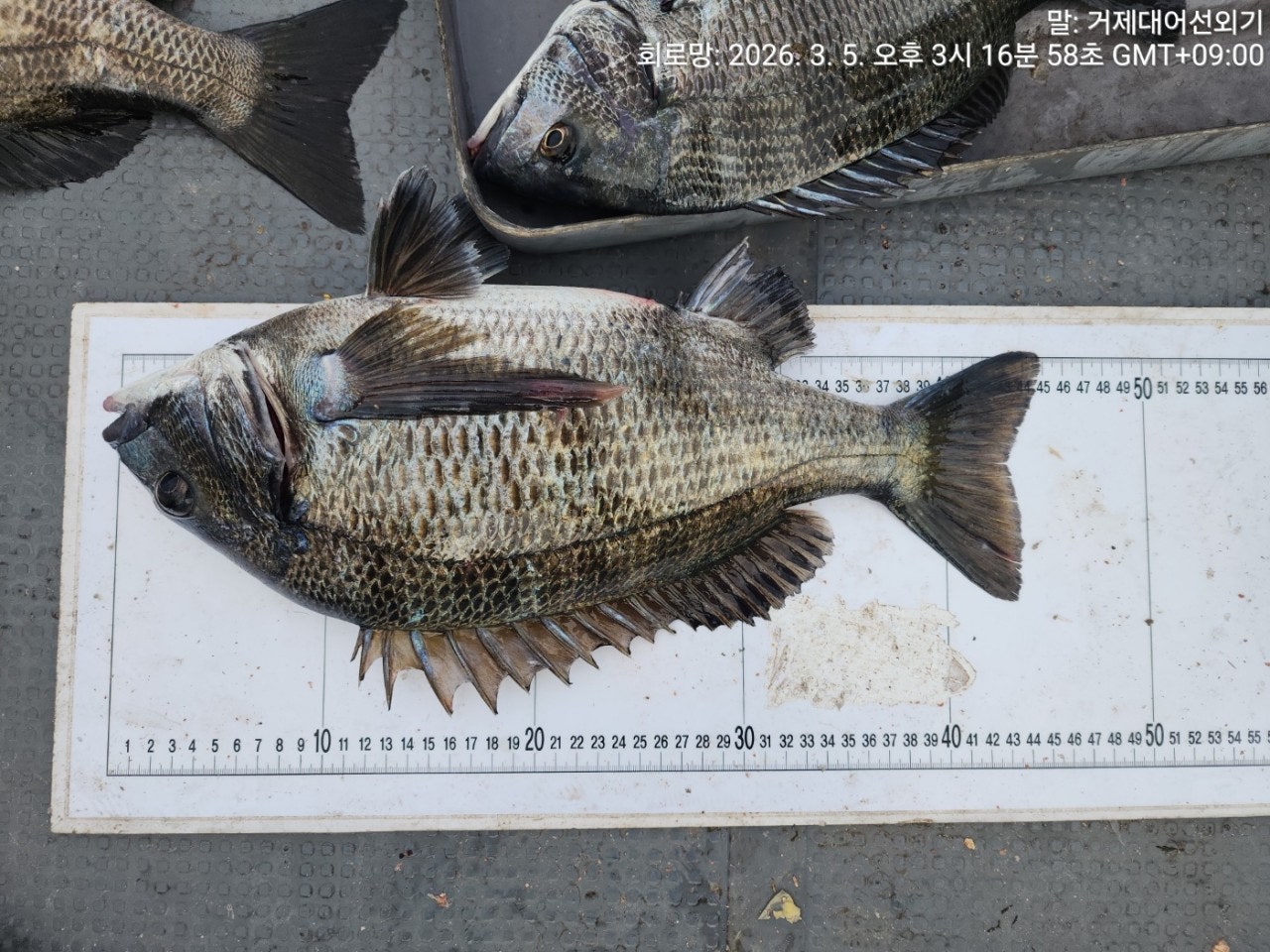 ����ڰ� �ø� �̹���