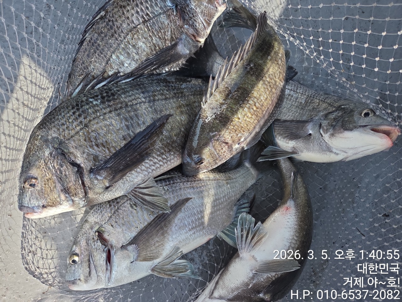 ����ڰ� �ø� �̹���