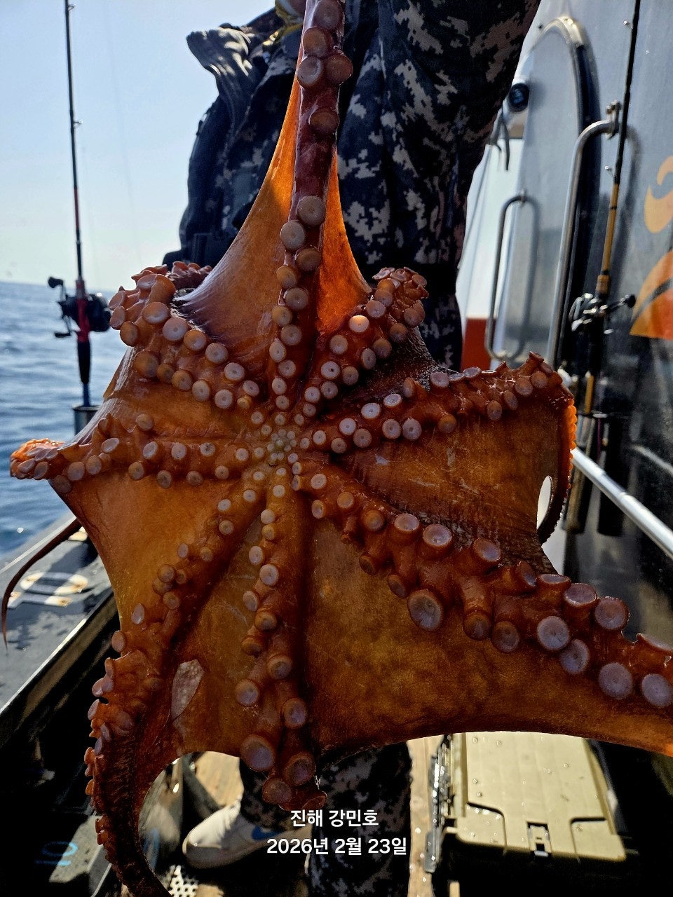 ����ڰ� �ø� �̹���