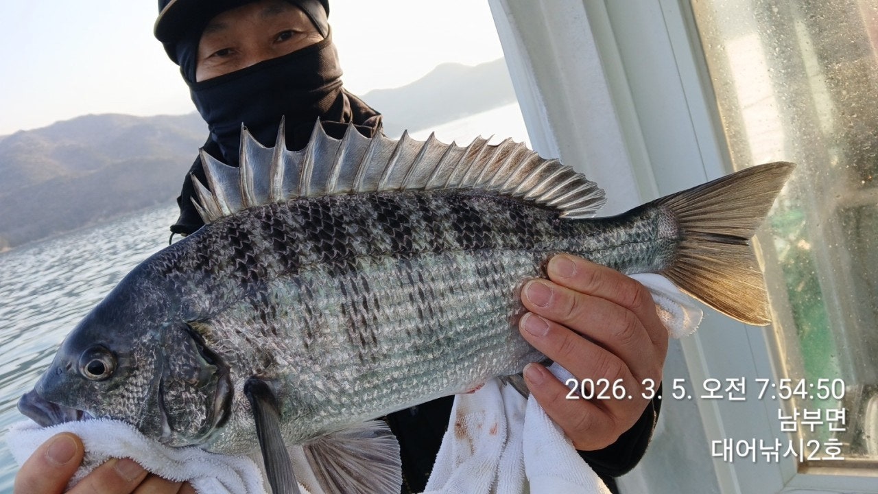 ����ڰ� �ø� �̹���