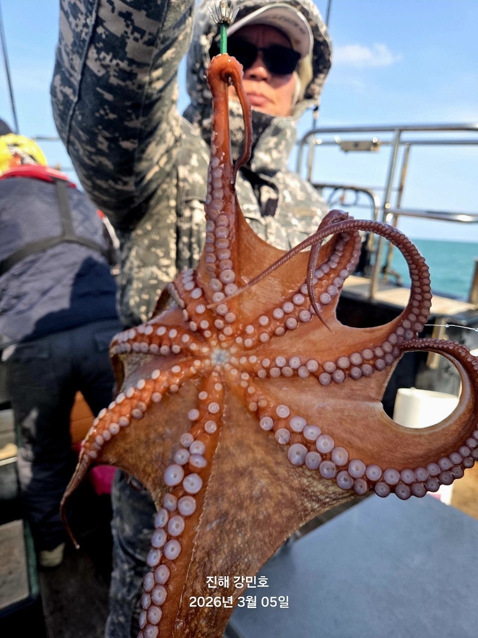 ����ڰ� �ø� �̹���