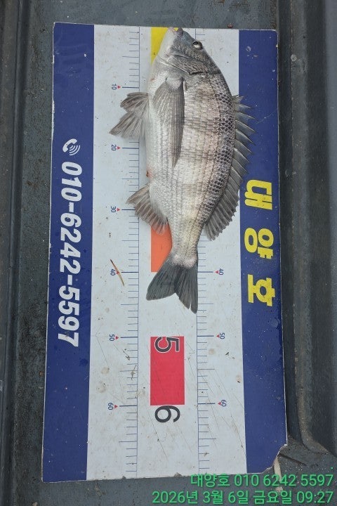 ����ڰ� �ø� �̹���