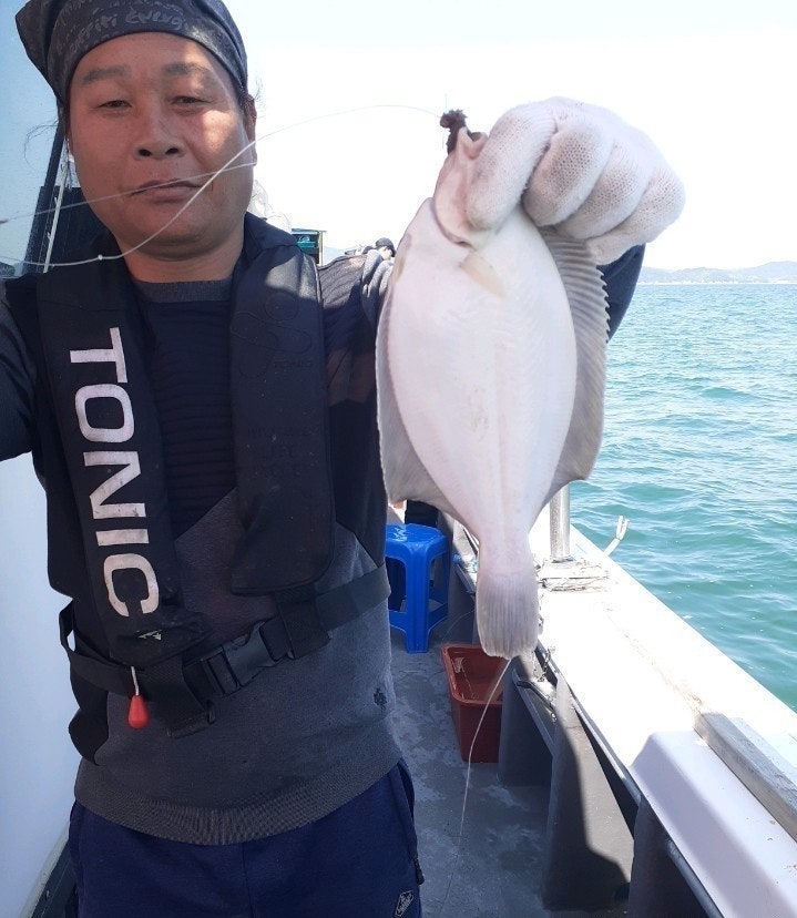 ����ڰ� �ø� �̹���