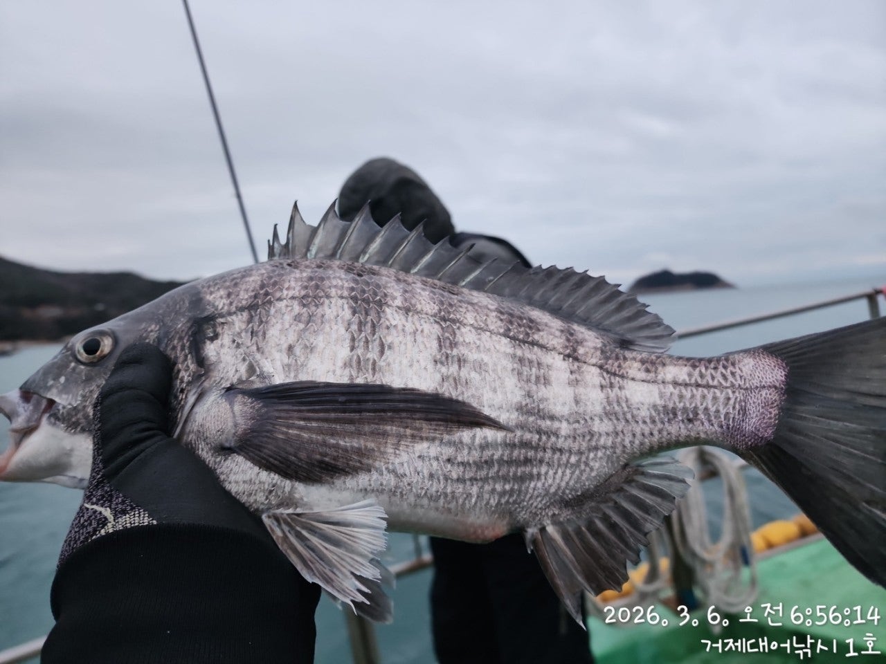 ����ڰ� �ø� �̹���