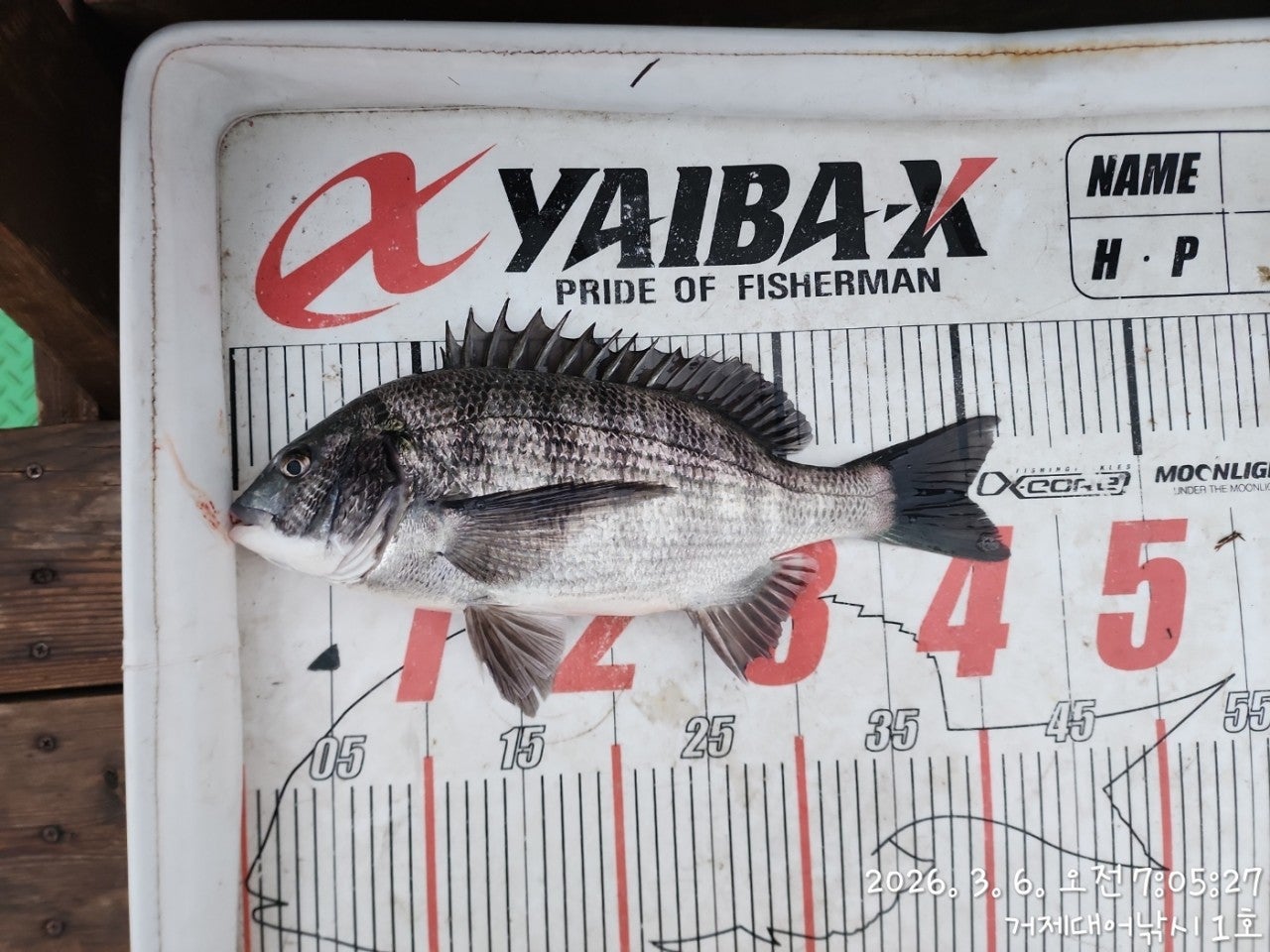 ����ڰ� �ø� �̹���