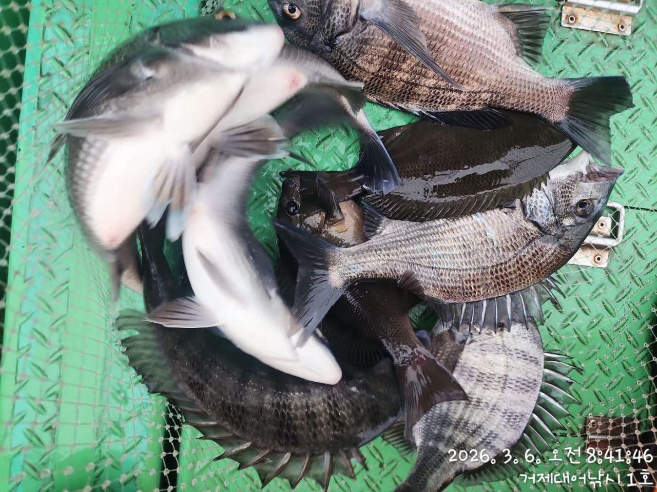 ����ڰ� �ø� �̹���