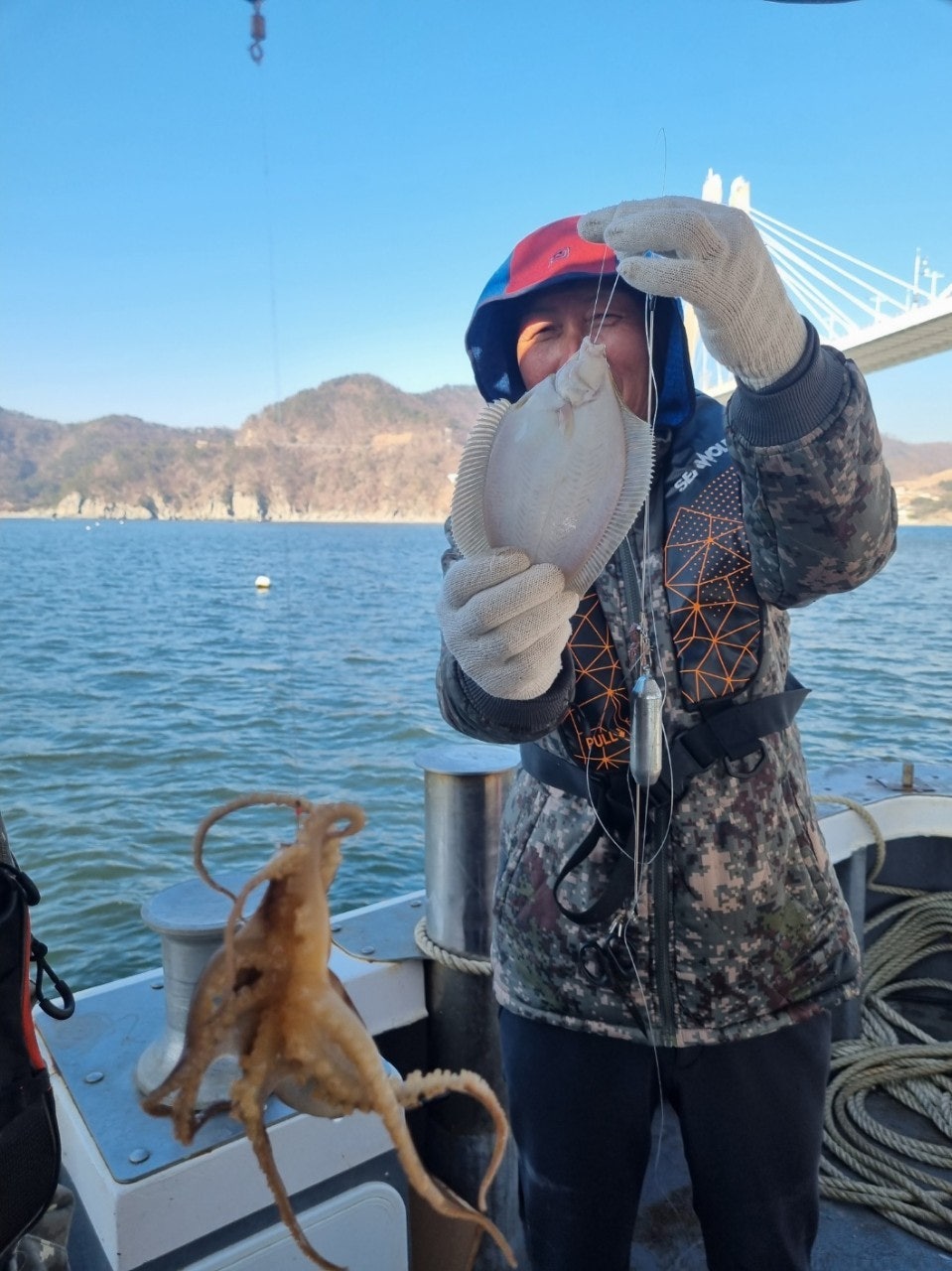 ����ڰ� �ø� �̹���