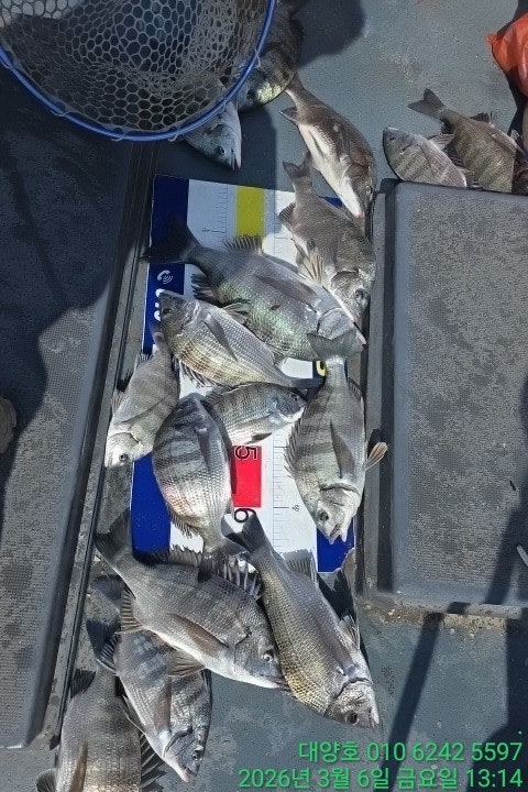 ����ڰ� �ø� �̹���