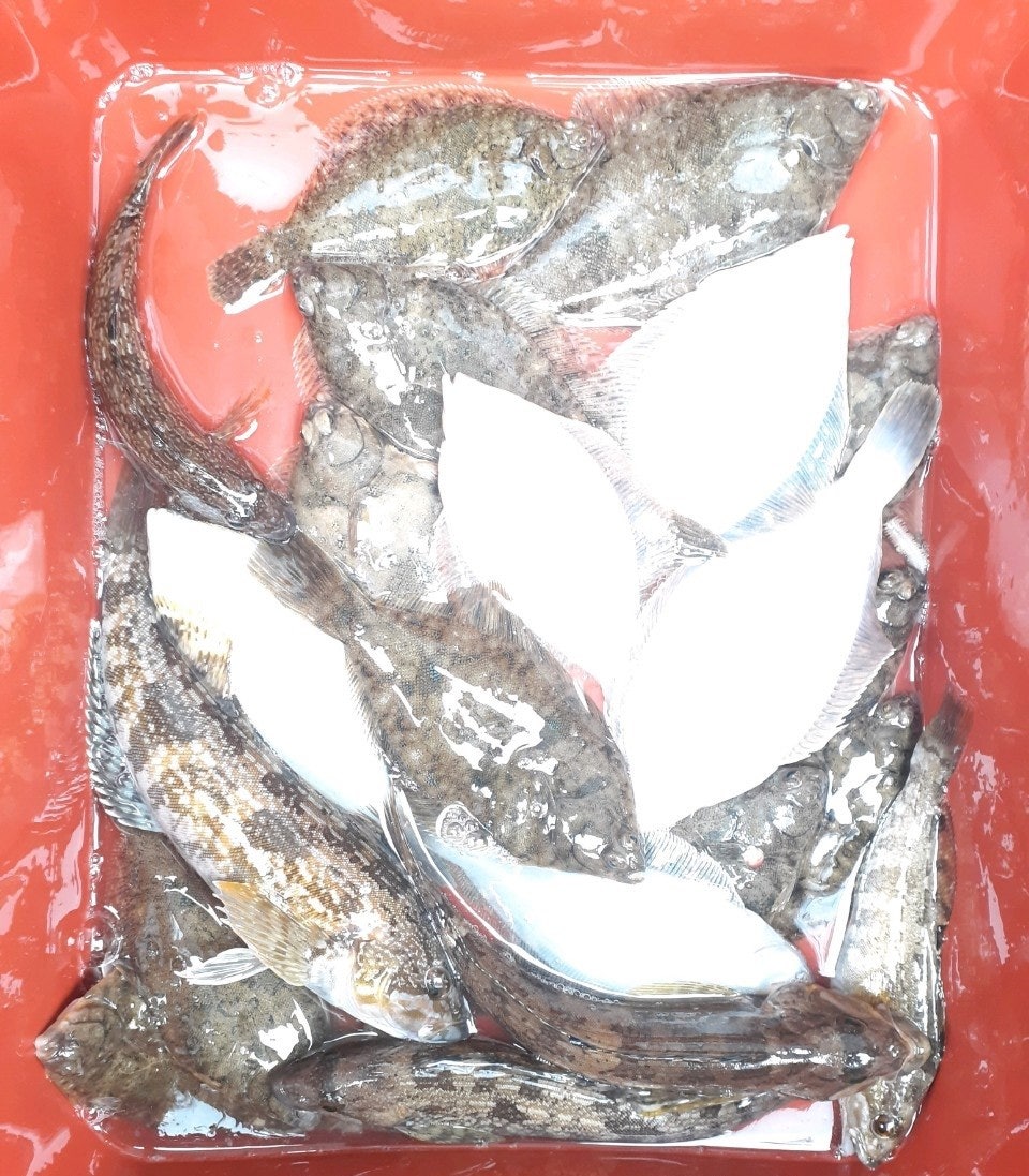 ����ڰ� �ø� �̹���