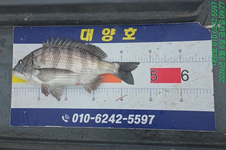 ����ڰ� �ø� �̹���