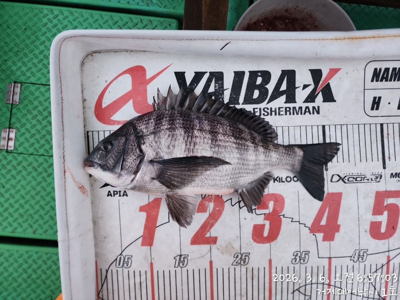 ����ڰ� �ø� �̹���