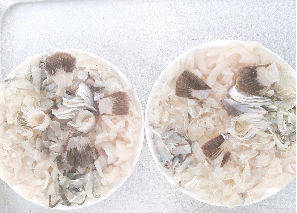 ����ڰ� �ø� �̹���