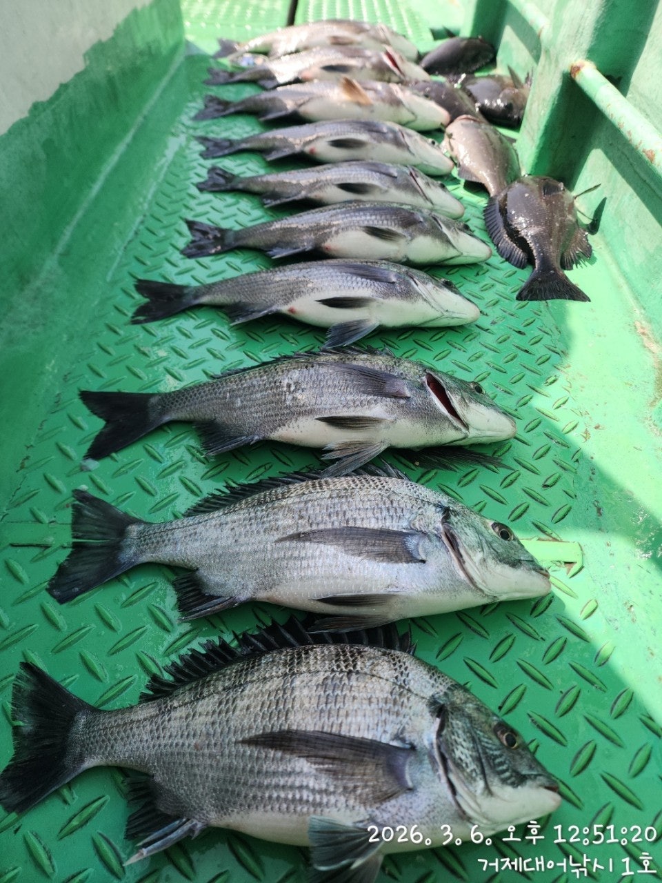 ����ڰ� �ø� �̹���