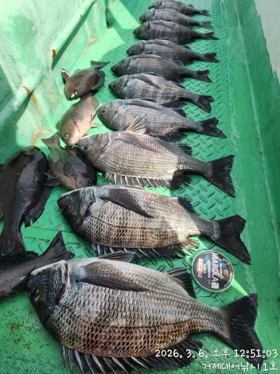 ����ڰ� �ø� �̹���