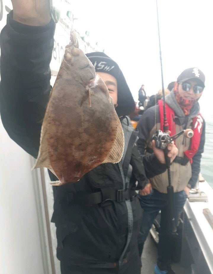 ����ڰ� �ø� �̹���