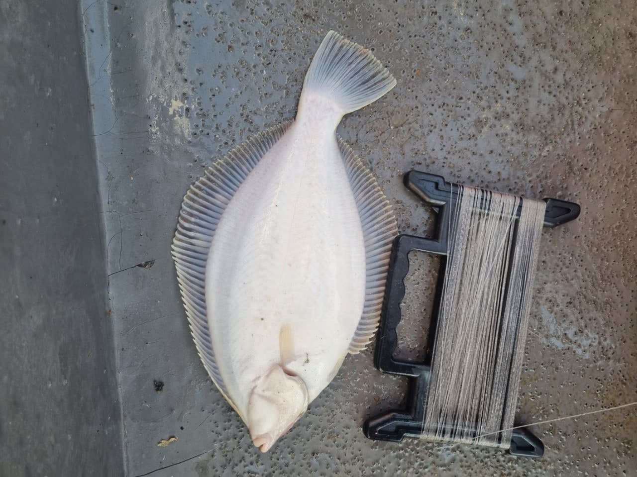 ����ڰ� �ø� �̹���