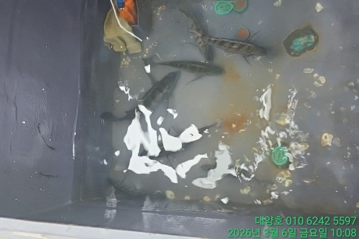 ����ڰ� �ø� �̹���